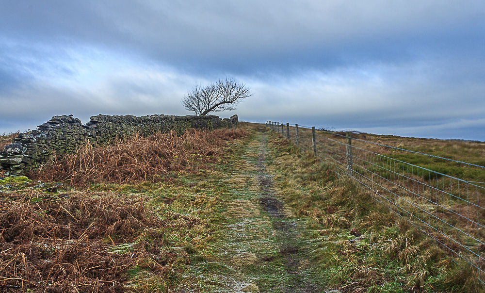 Foxlow Edge Foxlow Edge